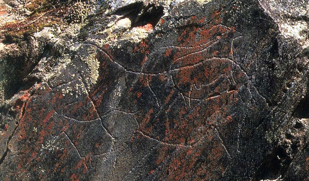 A região, Douro