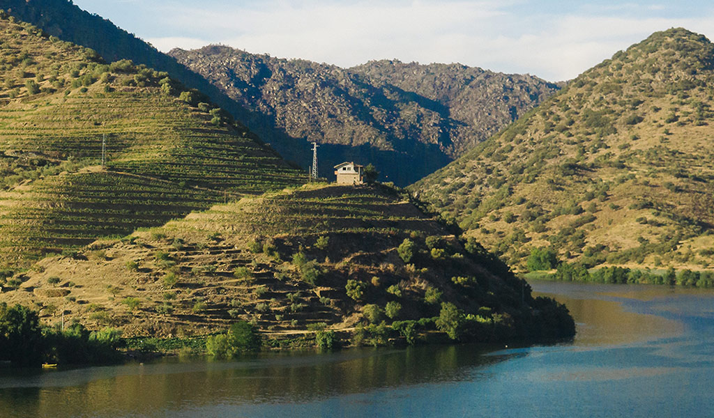Viewpoint over the Douro valley