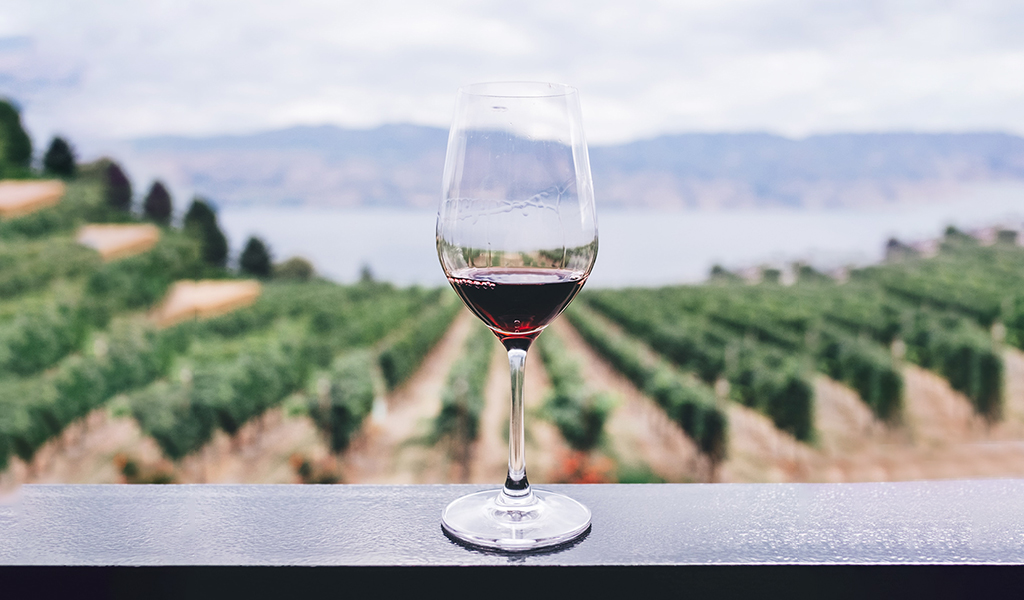 Prova de vinhos do Douro